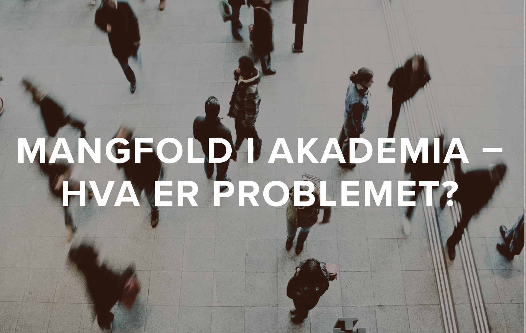 Brosjyre: Mangfold i akademia
