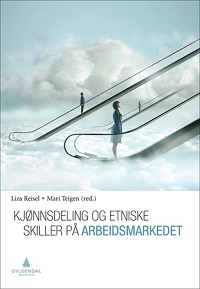 Forsiden til boken "Kjønnsdeling og etniske skiller på arbeidsmarkedet"