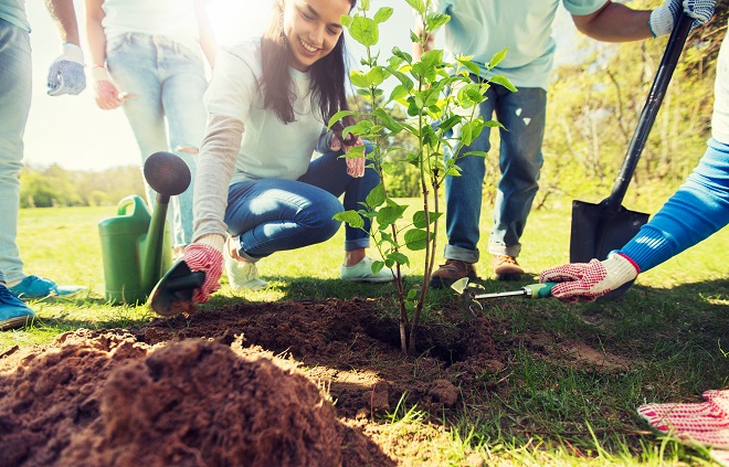 Frivillige som planter et tre